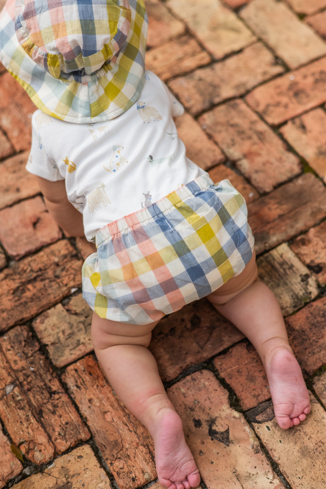 Checkmate Bloomer - Picnic