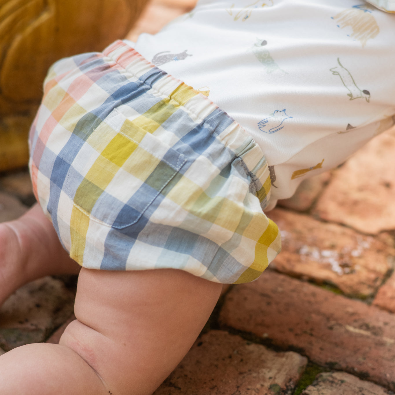 Checkmate Bloomer - Picnic