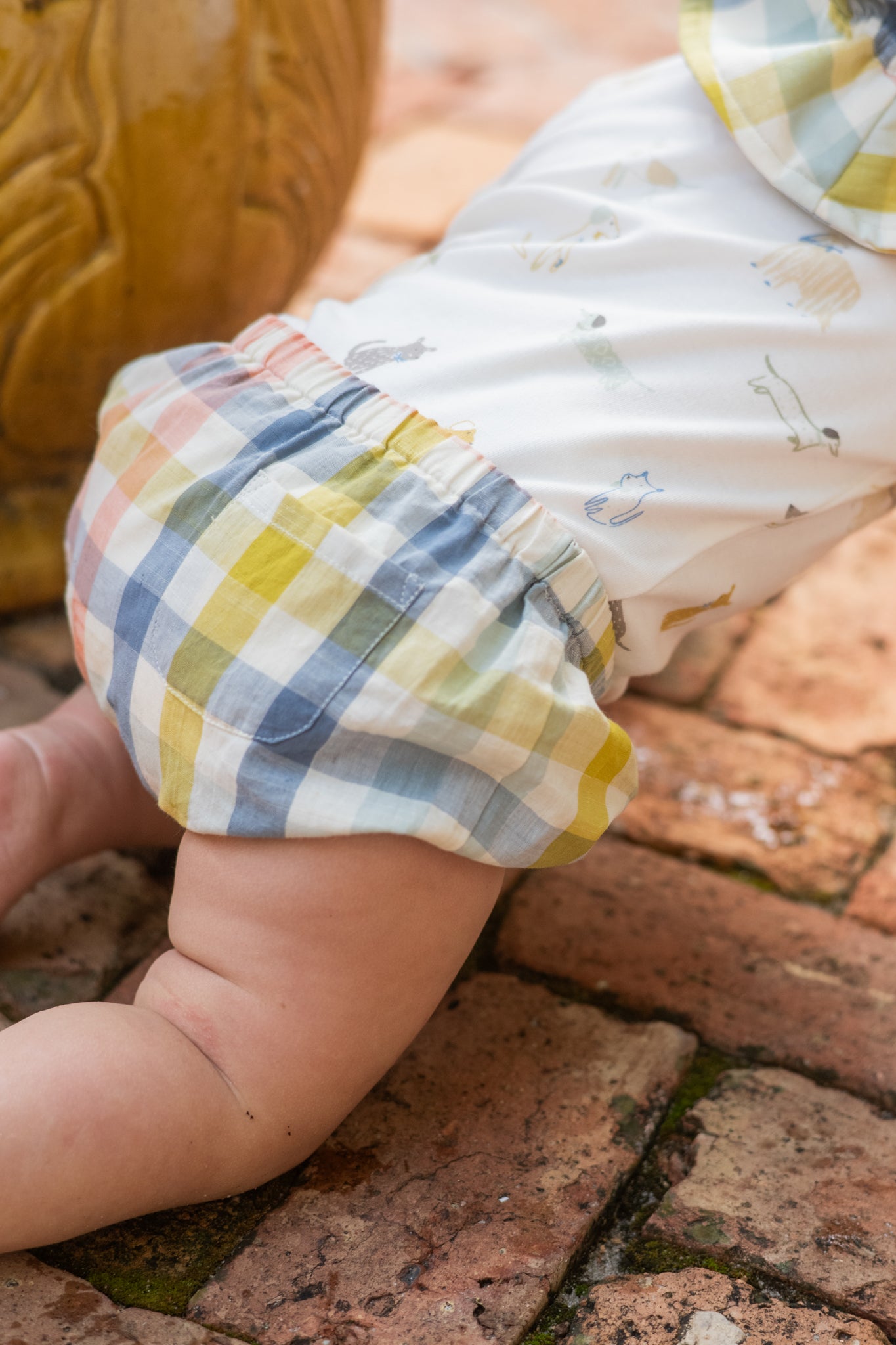 Checkmate Bloomer - Picnic