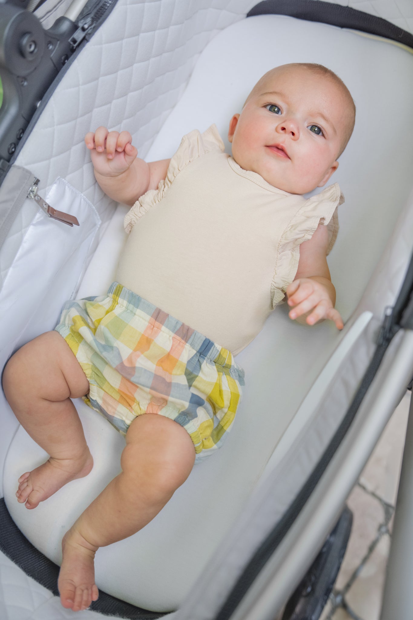 Checkmate Bloomer - Picnic