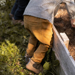 Pehr-Corduroy Pant-Ochre-3