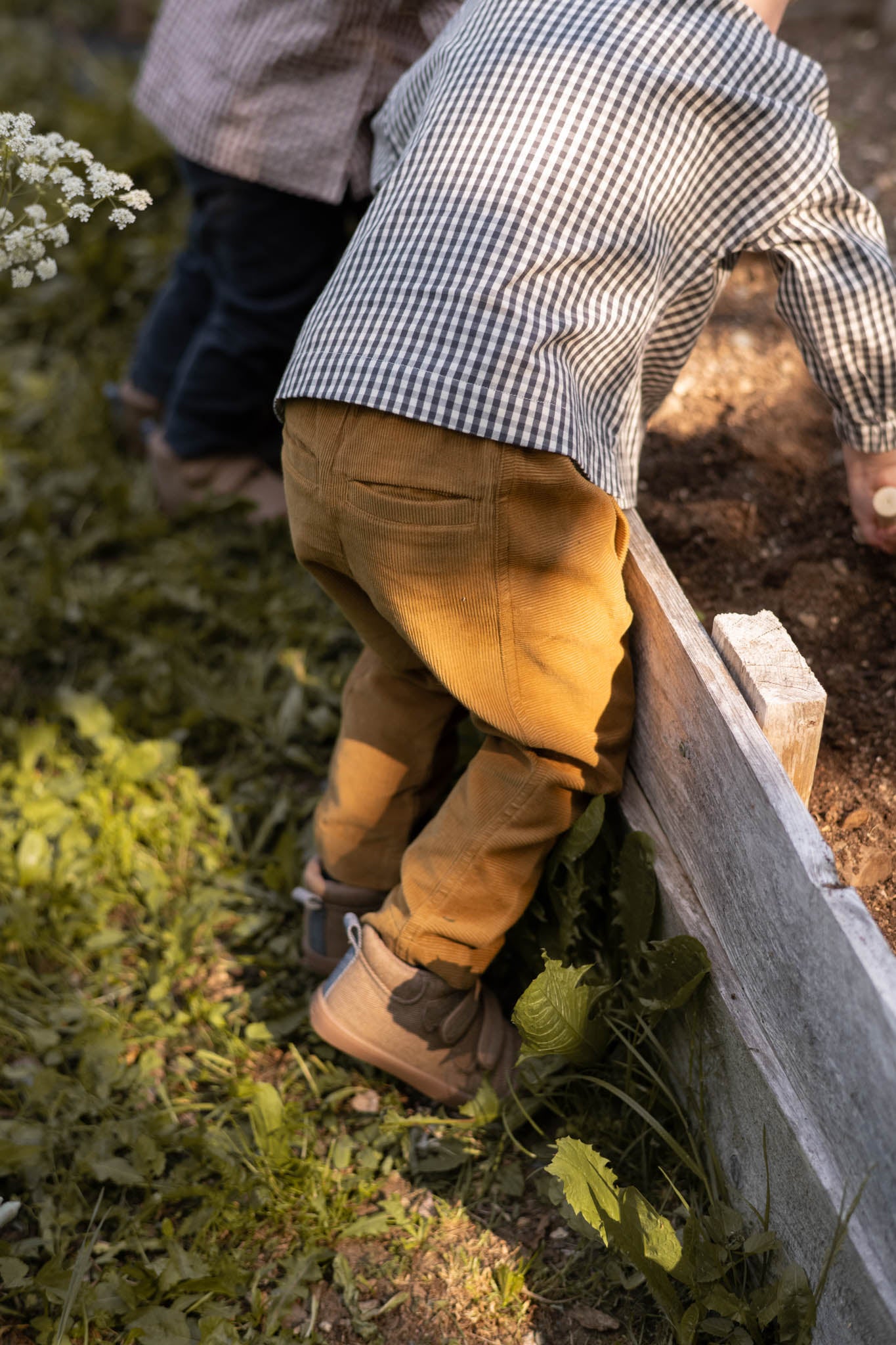 Pehr-Corduroy Pant-Ochre-3