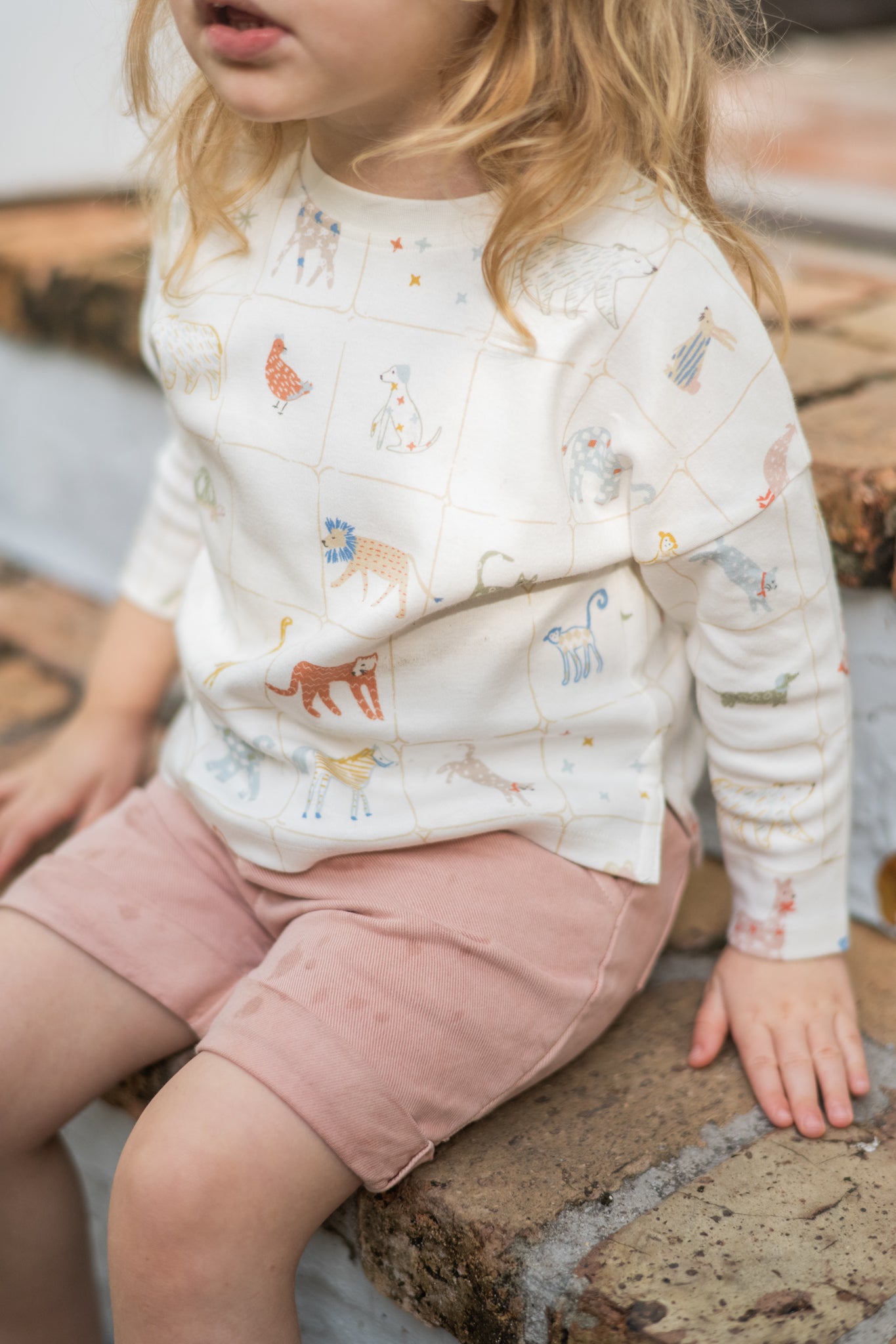 kids dropped shoulder long sleeve top animal shuffle