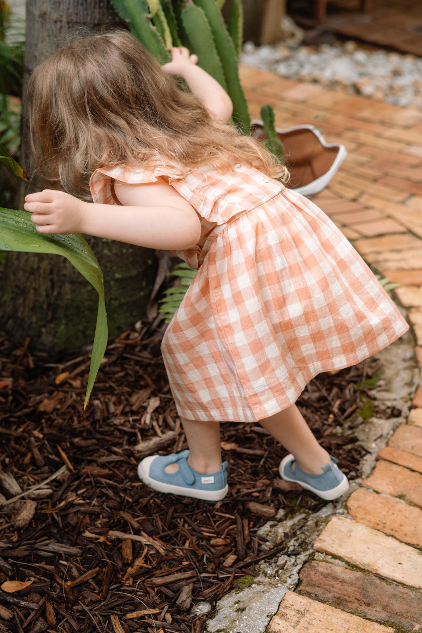 Checkmate Flutter Dress - Melon