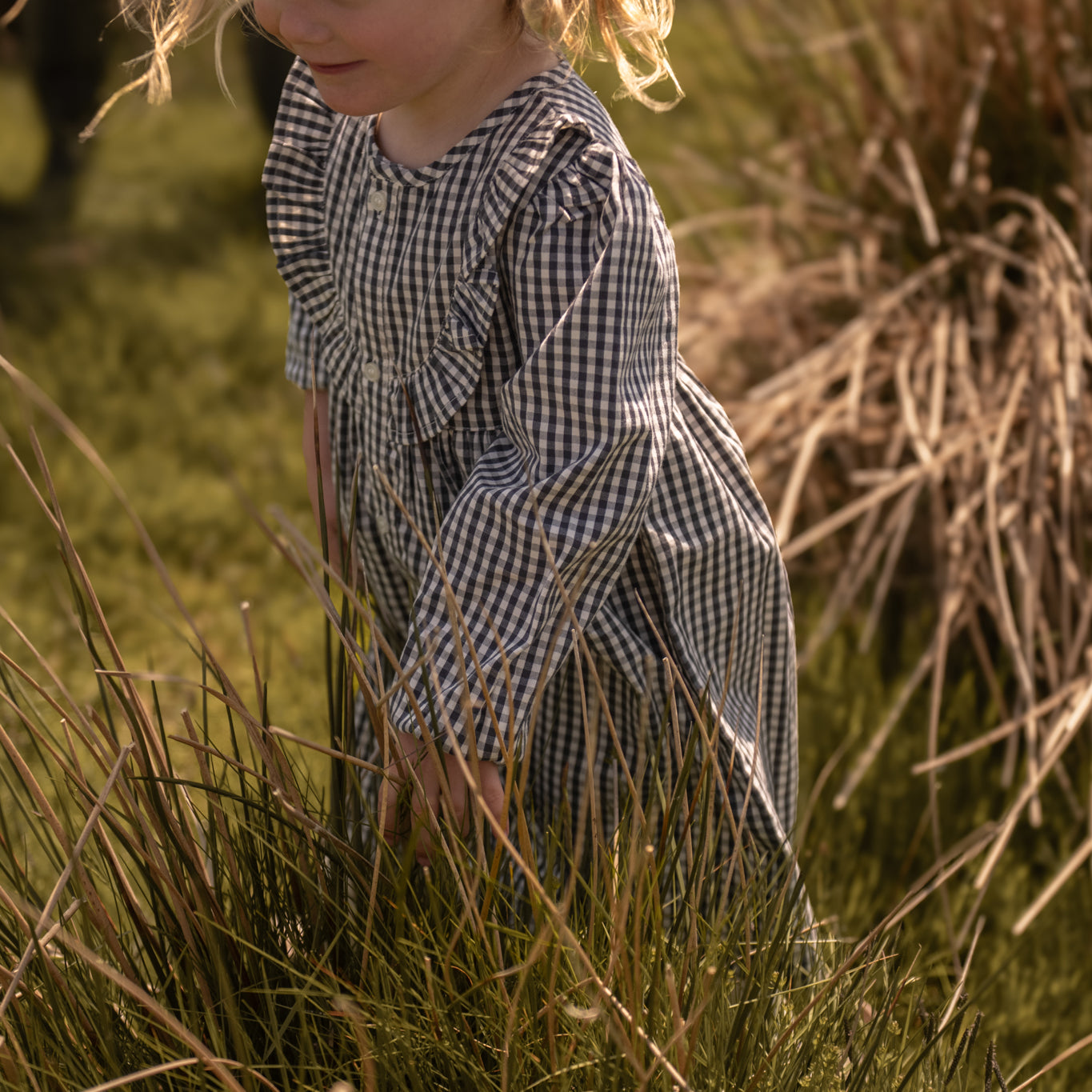 Pehr-Gingham Dress-Indigo-3