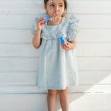Pehr- Seersucker Dress-Marine Blue-Toddler-2