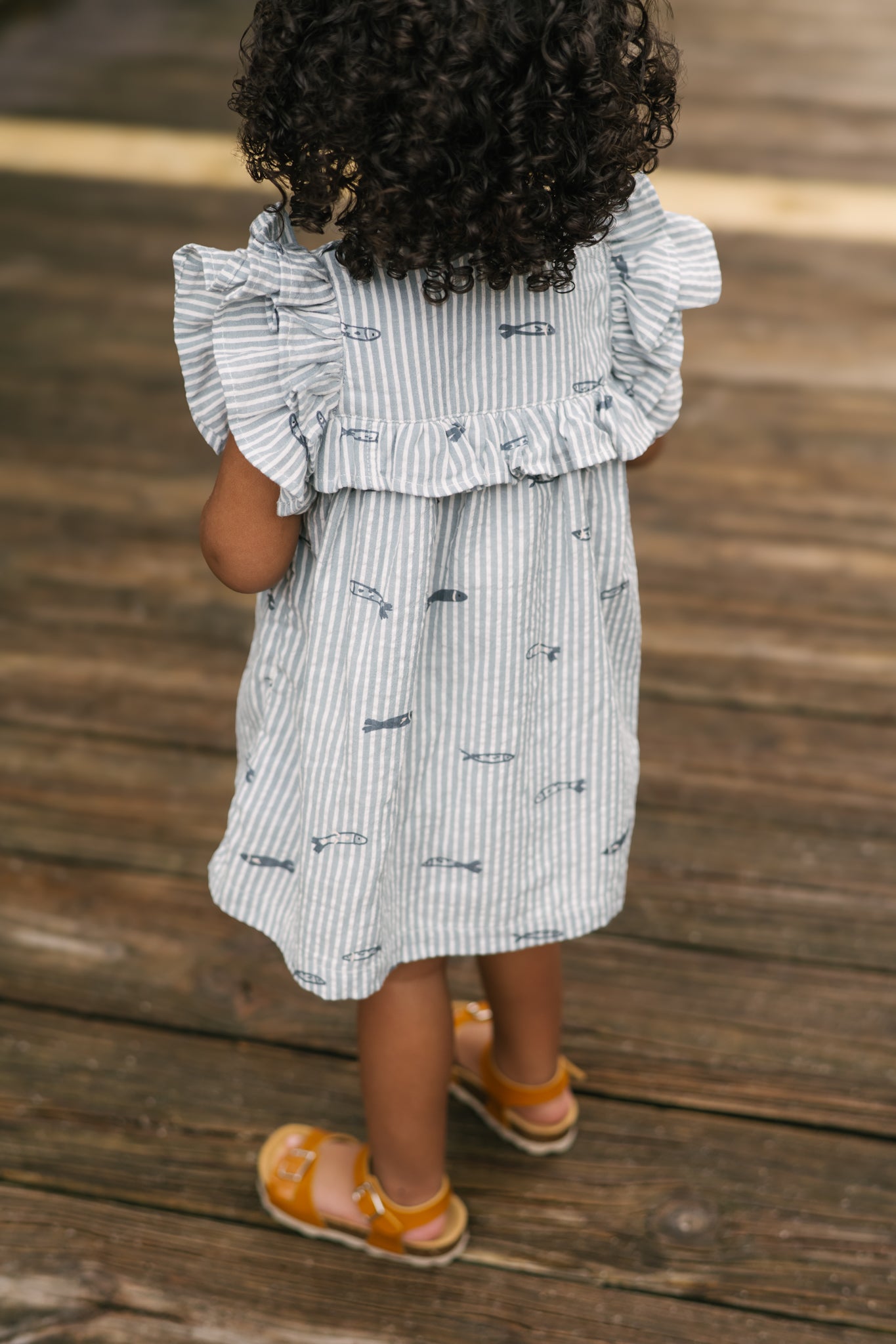 Seersucker Dress- Petit Sardine