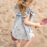 Seersucker Dress- Petit Sardine