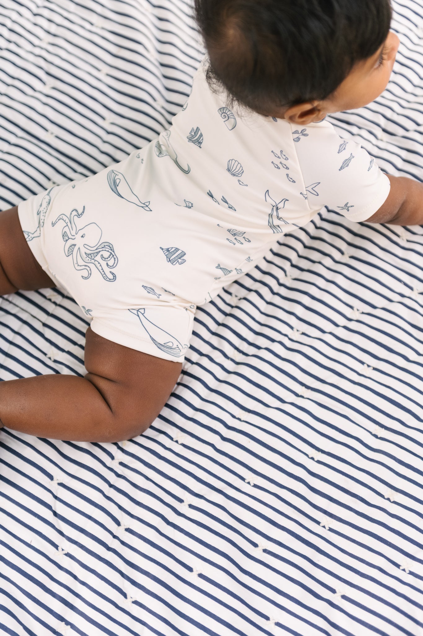 Swim Short Sleeve One-Piece - Life Aquatic