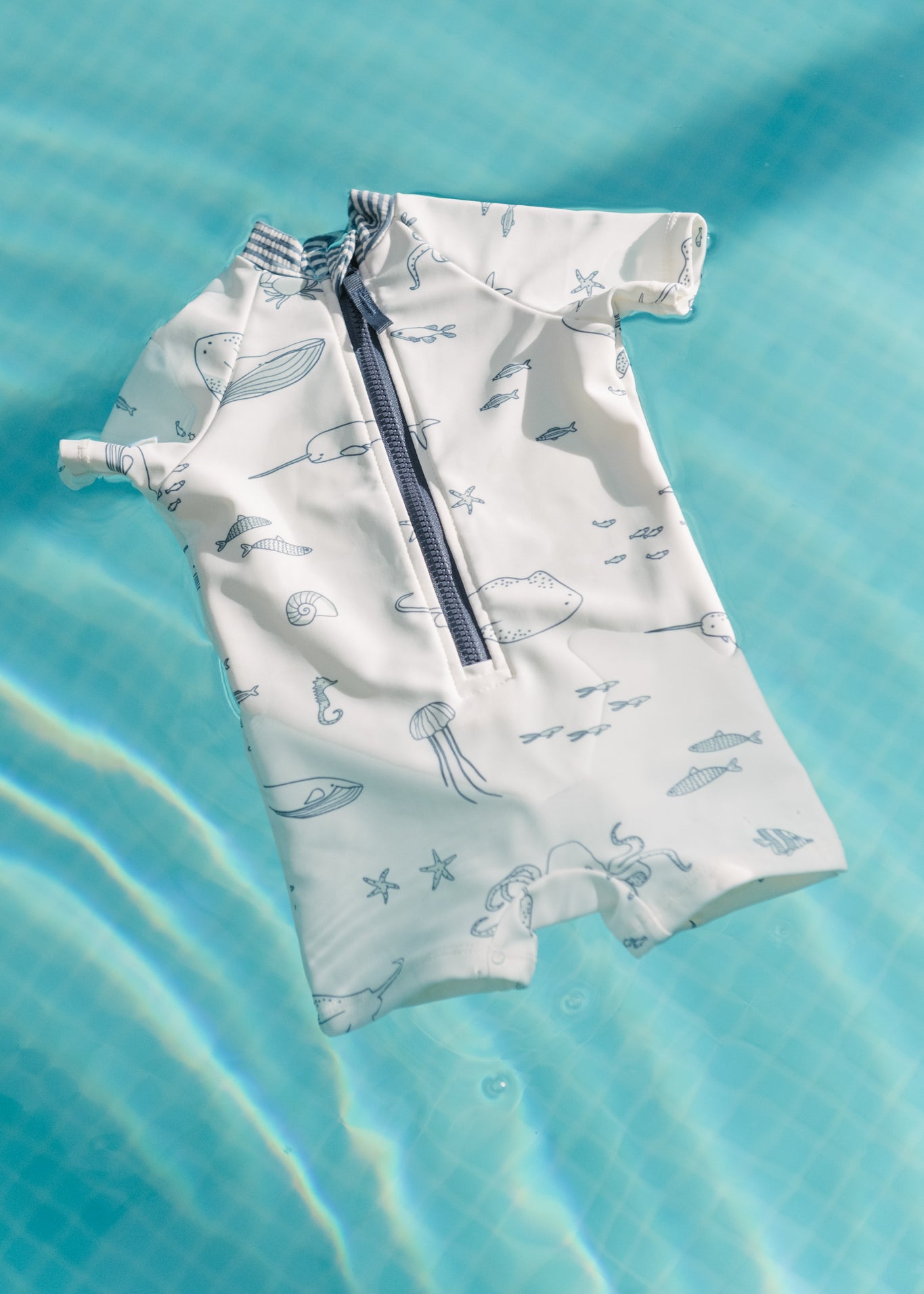 Pehr, brand website product image
