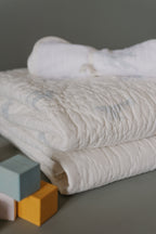 Follow Me Whale Blanket