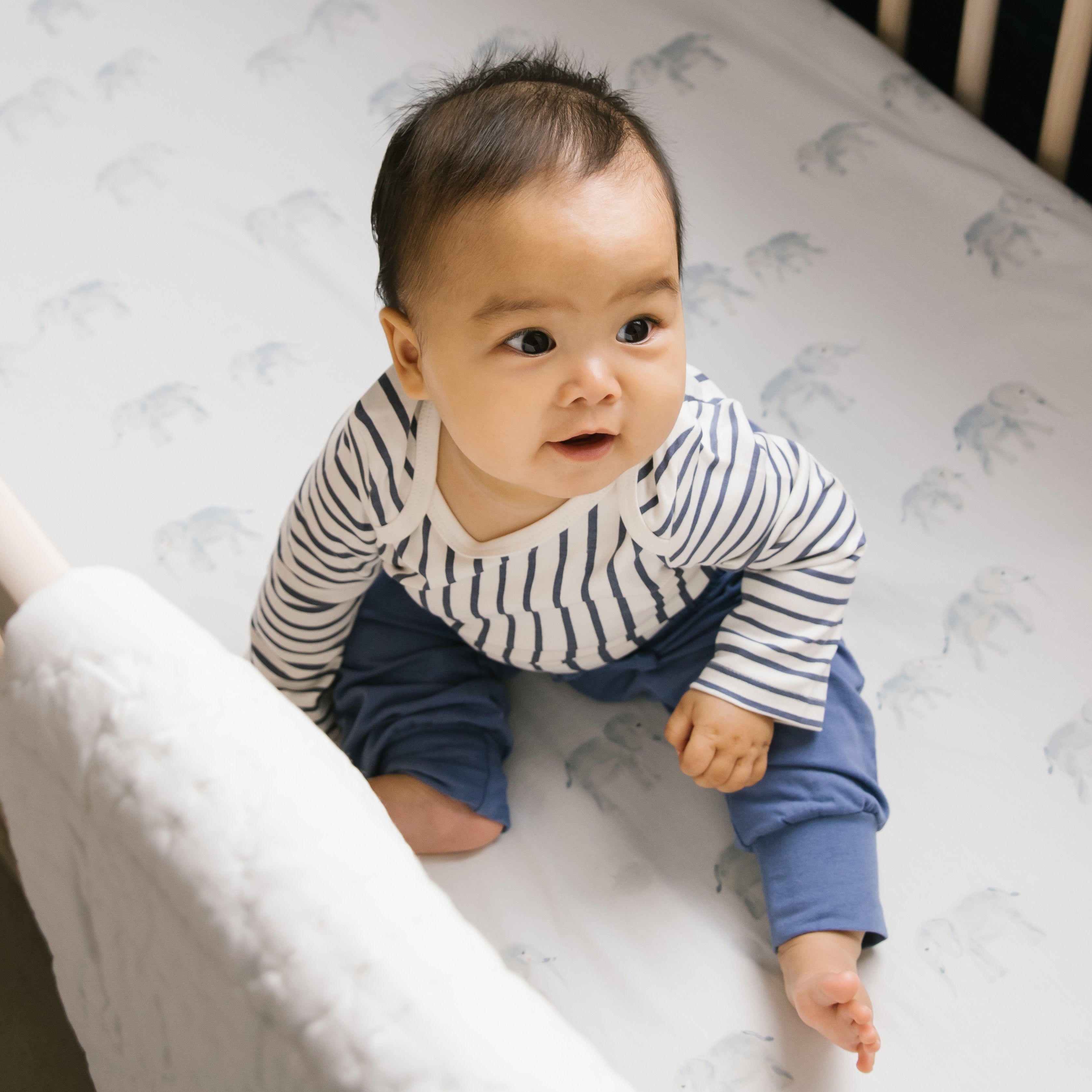 Pehr-Follow Me Crib Sheet-Follow Me Elephant-3