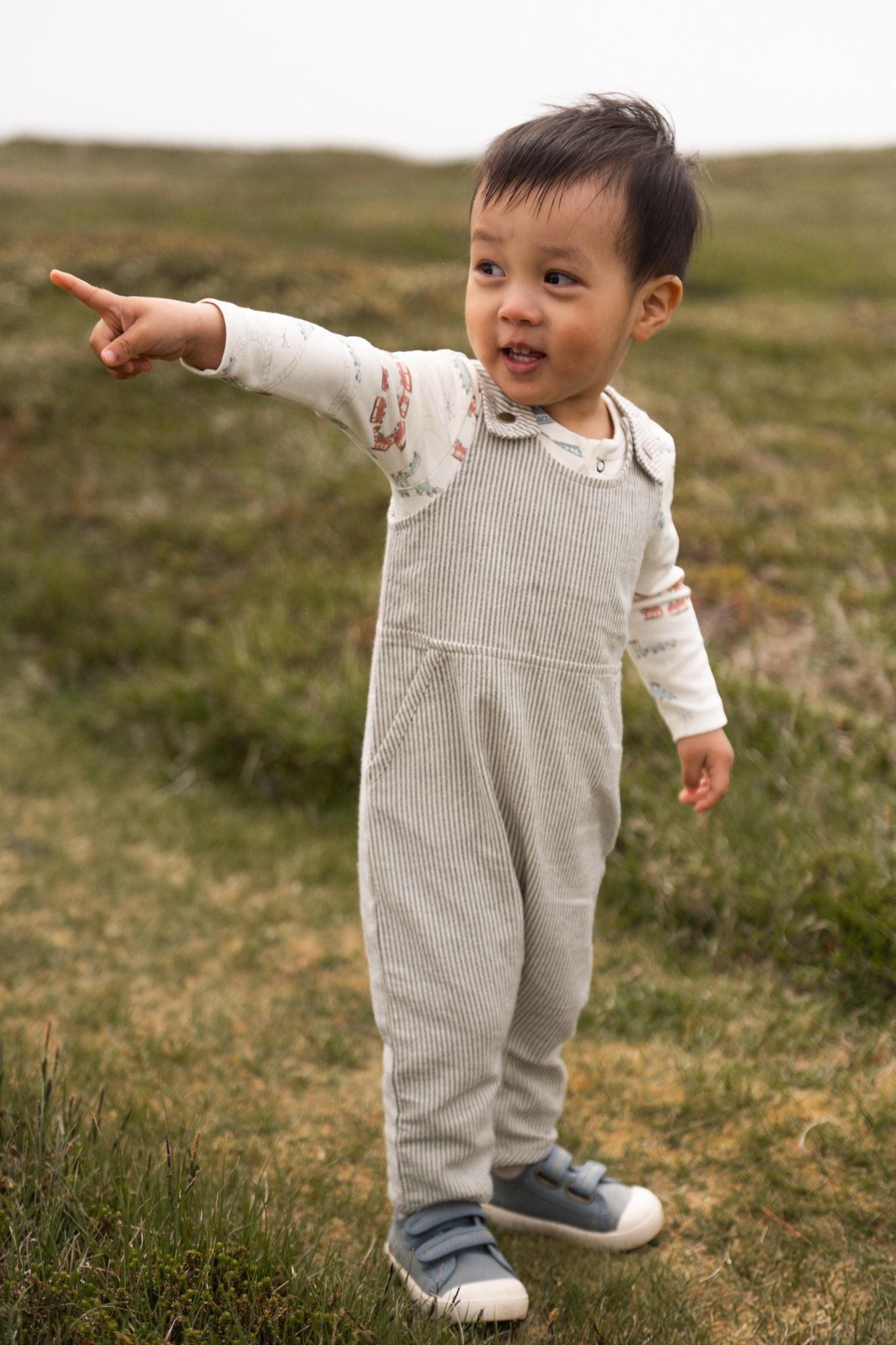 Railroad Overall - Railroad Stripe – Pehr