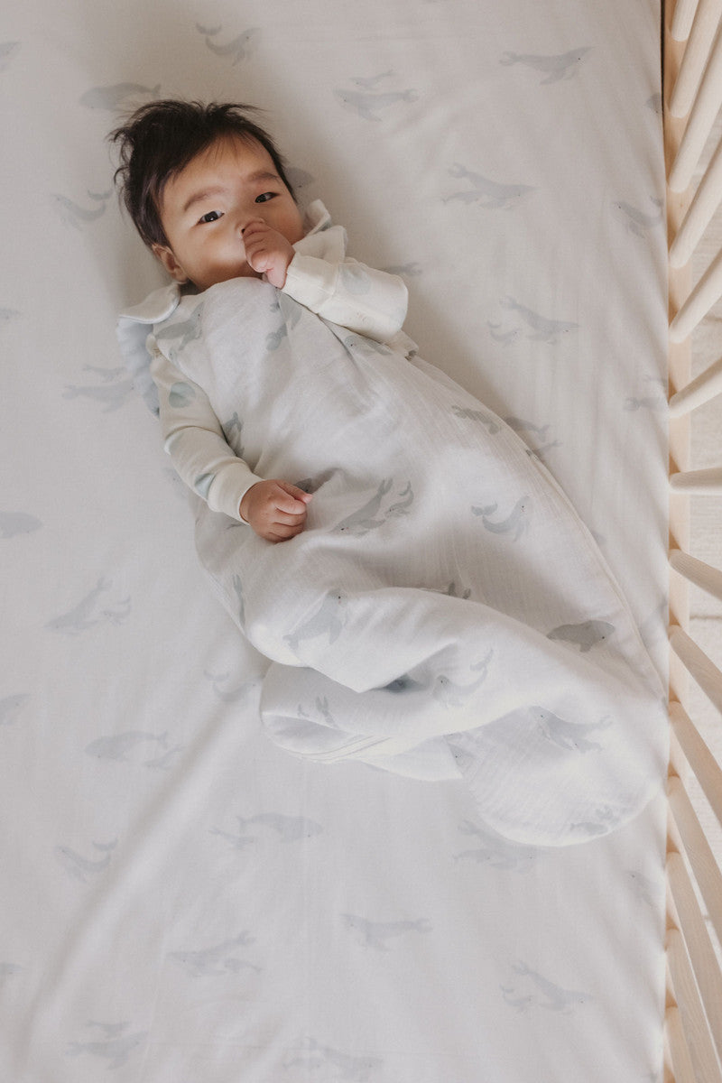 baby welcome newborn gift set for them pehr 3