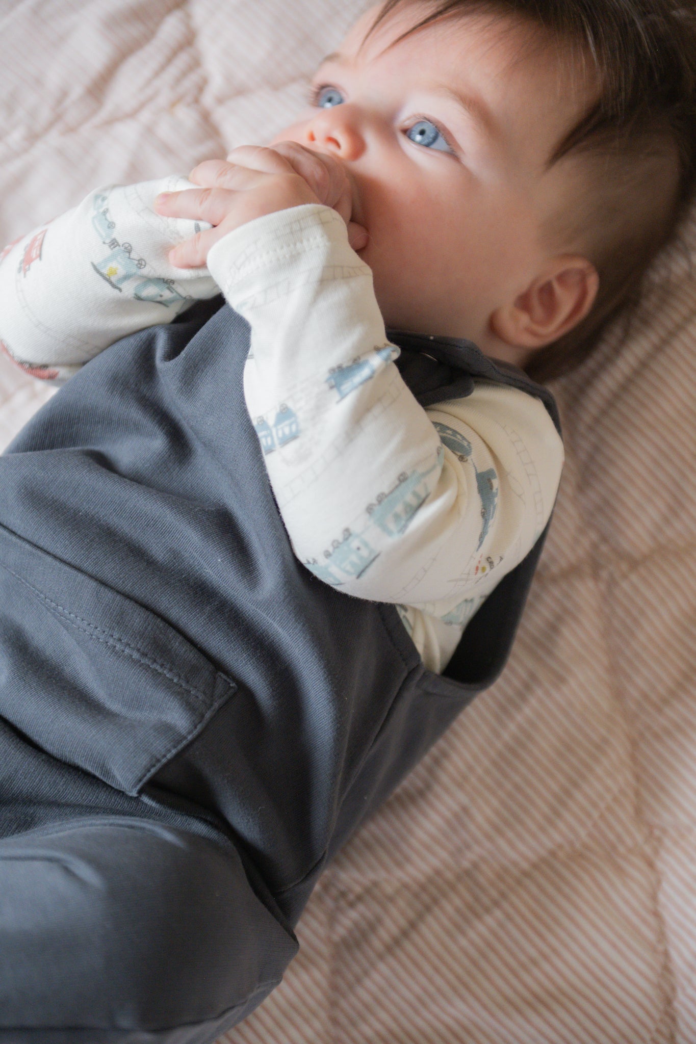 Pehr-French Terry Overalls-Ink Blue-4