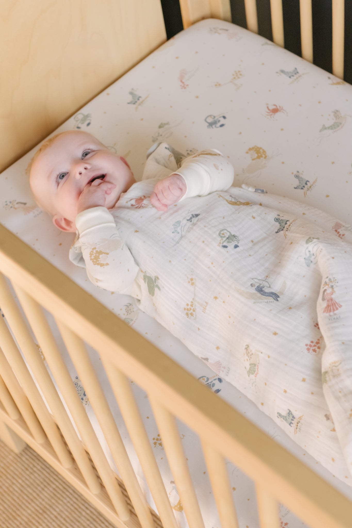 Pehr-1.7 TOG Sleep Bag -Zodiac-0-9 mos-3