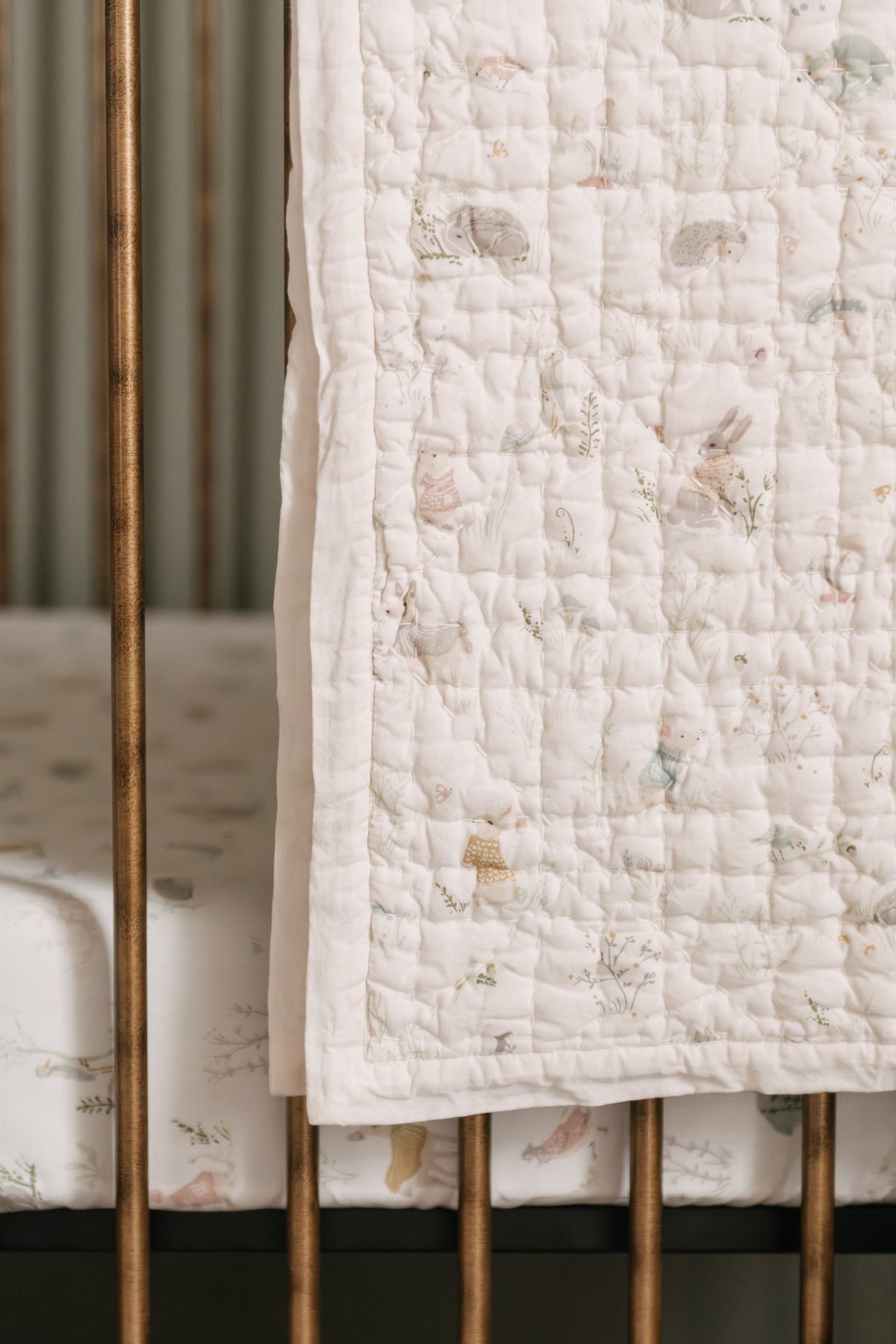 blanket forest fable